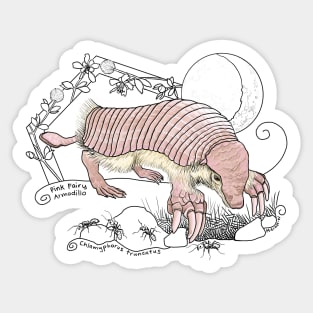 A Pink Fairy Armadillo under the moon - green background Sticker